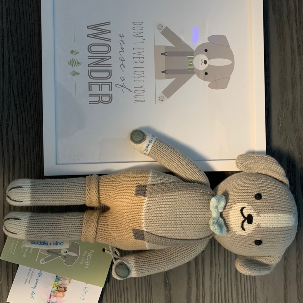 Pottery Barn Noah the Dog plush & picture